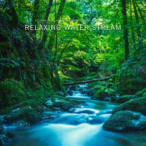 Relaxing Water Stream - Dr. John Douglas