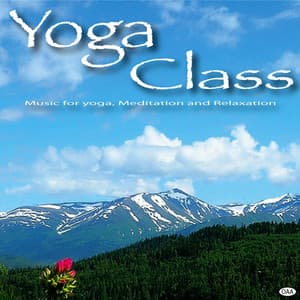 Yoga Class - Yoga Class