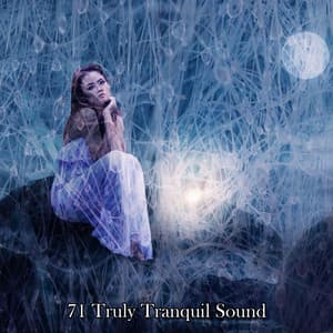 71 Truly Tranquil Sound - Sleep Before Midnight