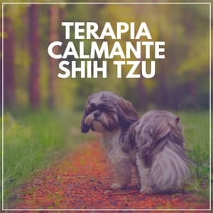 Terapia Calmante Shih Tzu - Biblioteca de Música Para Mascotas