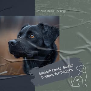 Smooth Beats, Sweet Dreams for Doggies - Jazz Music Therapy for Dogs