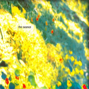 The Seance - Henry Kaiser
