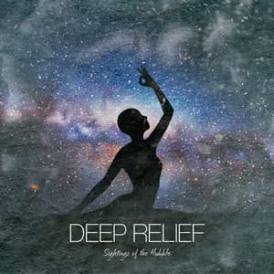 Deep Relief - Sightings of the Hubble