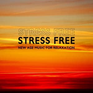 Stress Free: New Age Music for Relaxation - Ambient New Age