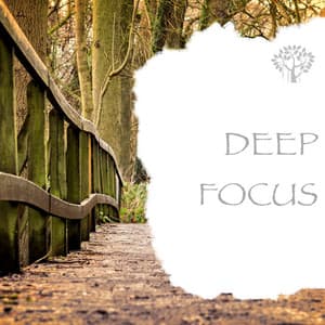Deep Focus - Natural Spirit