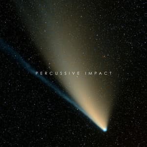 Percussive Impact - Terry Devine-King