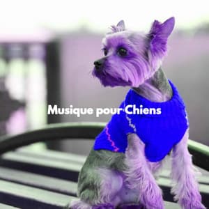 Musique pour Chiens - Happy Music for Dogs