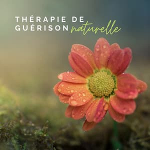 Thérapie de guérison naturelle – Atmosphère de guérison de l'âme et du corps à la maison, Musique instrumentale pour la guérison intérieure - Zen Matin Groupe