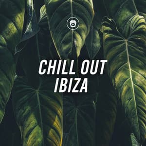 Chill Out Ibiza - UK House Music