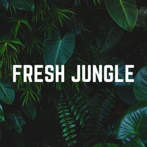 Fresh Jungle - Zen Garden Secrets