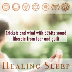 Crickets And Wind With 396Hz Sound Liberate From Fear And Guilt - Healing Sleep