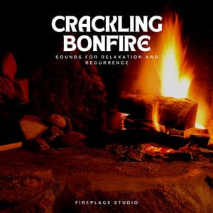 Crackling Bonfire Sounds for Relaxation and Recurrence - Fireplace Studio