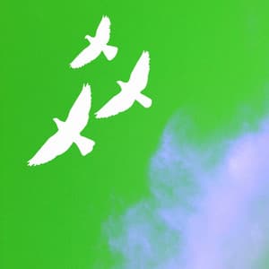 High-class Jazz Piano Duo - Background for Peaceful Thursday - Jazz Library Music