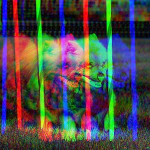 Ambiance for Unwinding Doggo - Puppy Music