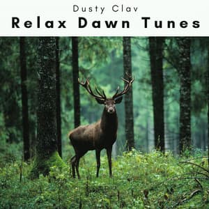 3 2 1 Relax Dawn Tunes - Dusty Clav