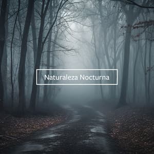 Naturaleza Nocturna: Sonidos Oscuros del Bosque para Dormir, Hipnosis y Relajación - Relajante Conjunto de Música Zen
