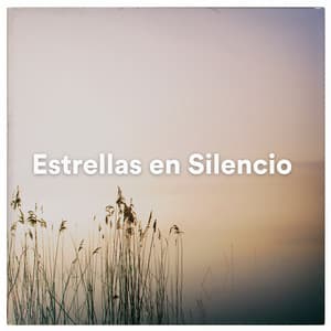 Estrellas en Silencio - Bien Dormir