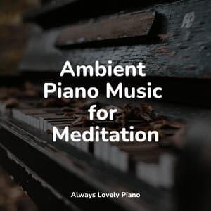 Piano Melodies | Work and Study - Piano Music for Work