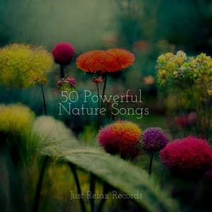 50 Powerful Nature Songs - Sonidos De Lluvia y Tormentas