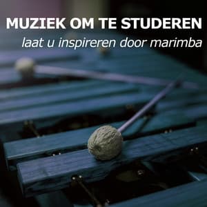 Muziek Om Te Studeren - Muziek om te Studeren