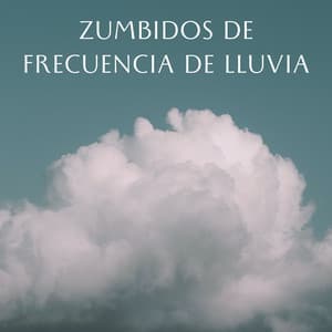 Zumbidos De Frecuencia De Lluvia - Danny sonidos de lluvia