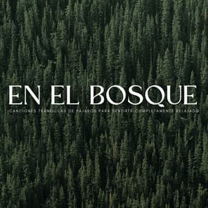 En El Bosque: Canciones Tranquilas De Pájaros Para Sentirte Completamente Relajado - Ruido y Naturaleza