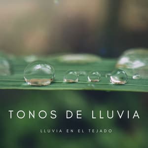 Tonos De Lluvia: Lluvia En El Tejado - Ruido Blanco Para Estudiar