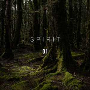 Spirit 01 - Relaxing Chill Out Music