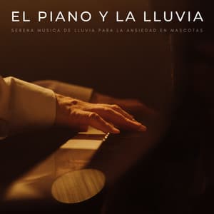 El Piano Y La Lluvia: Serena Música De Lluvia Para La Ansiedad En Mascotas - Musica Para Estudiar Academy
