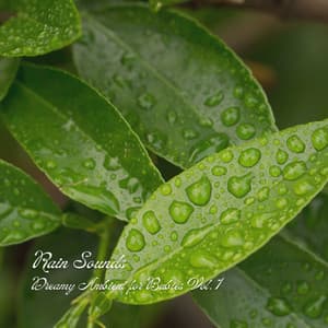 Rain Sounds: Dreamy Ambient for Babies Vol. 1 - Recorder Rain