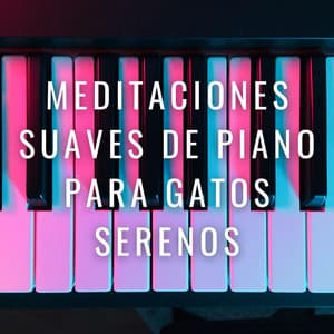 Ronroneos Pacíficos: Meditaciones Suaves De Piano Para Gatos Serenos - Paz del piano