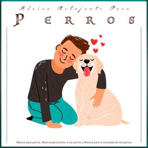 Música Relajante Para Perros: Música para perros, Música para dormir a los perros y Música para la ansiedad de los perros - Música Para Dormir A Los Perros