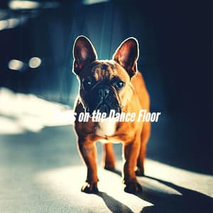 Paws on the Dance Floor - Musica Relajante para Perros Momentos