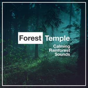 Forest Temple - Calming Rainforest Sounds