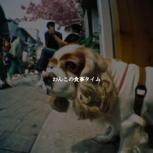 わんこの食事タイム - Deluxe Cafe Jazz