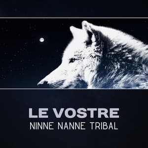 Le vostre ninne nanne tribali - Musica di sonno profondo, Tamburi e flauti etnici, L'ipnosi di sonno per l'insonnia - Academia del Sonno Profondo