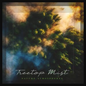 Treetop Mist - Nature Atmospheres