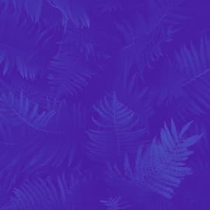 Awesome Bgm for Storytelling - Música Alegre para Bares