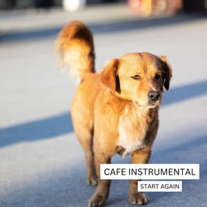 Start Again - Cafe Instrumental