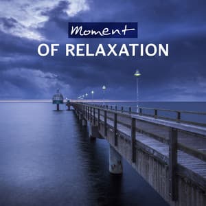 Moment of Relaxation – Gentle Sounds for Positive Attitude, Stress Relief, Peaceful Thoughts and Inner Bliss - Breathe Music Universe