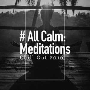 # All Calm: Meditations - Chill Out 2016