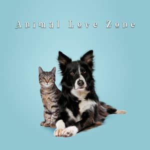 Animal Love Zone: Take Care of Your Pet - Calm Animals Music