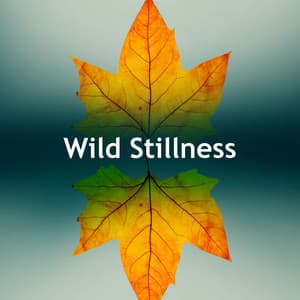 Wild Stillness - Amazon Jungle Sounds