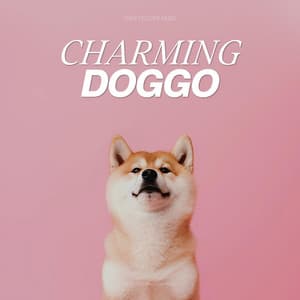 Charming Doggo - Pets