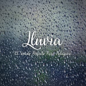 Lluvia: El Sonido Perfecto para Relajarse - Lluvia