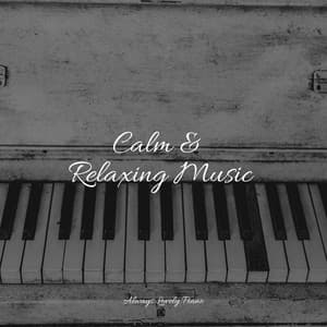 Ambient Piano Music - Piano Music for Work