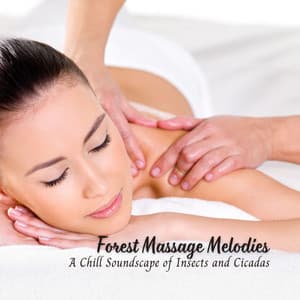Forest Massage Melodies: A Chill Soundscape of Insects and Cicadas - American Native Orchestra