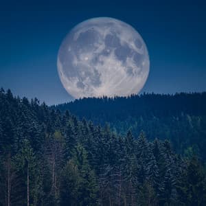 Música Para Retiros Nocturnos: Melodías Nocturnas Calmantes - Ambiente en Bucle