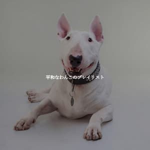 平和なわんこのプレイリスト - Relaxing Bossa Nova Chillax