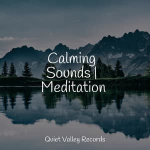 Calming Sounds | Meditation - Reiki Music